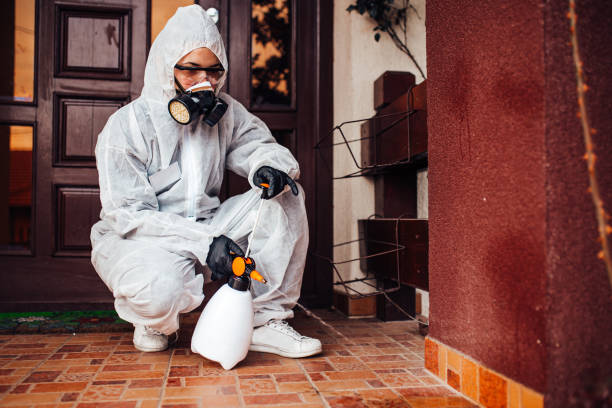 Reliable Cockroach Control contractor in Monrovia, MD by Nex Pest Control